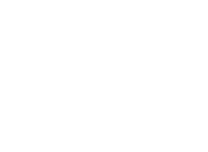 Medi-Cal Provider